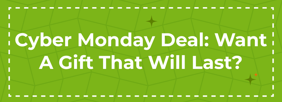 cyber monday deal a gift that lasts for children this holiday season